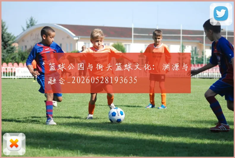 篮球公园与街头篮球文化:渊源与融合_20260528193635