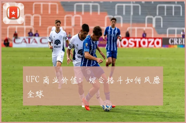 UFC 商业价值：综合格斗如何风靡全球