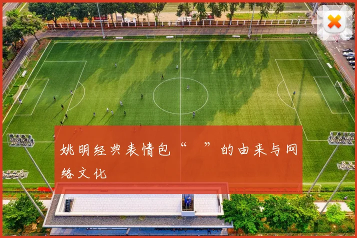 姚明经典表情包“囧”的由来与网络文化